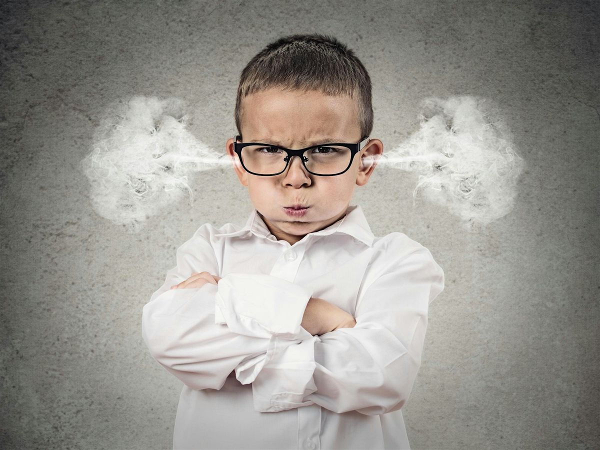 Dealing with Explosive Behaviour Through Emotional Regulation, 18 November | Event in Stony Plain | AllEvents
