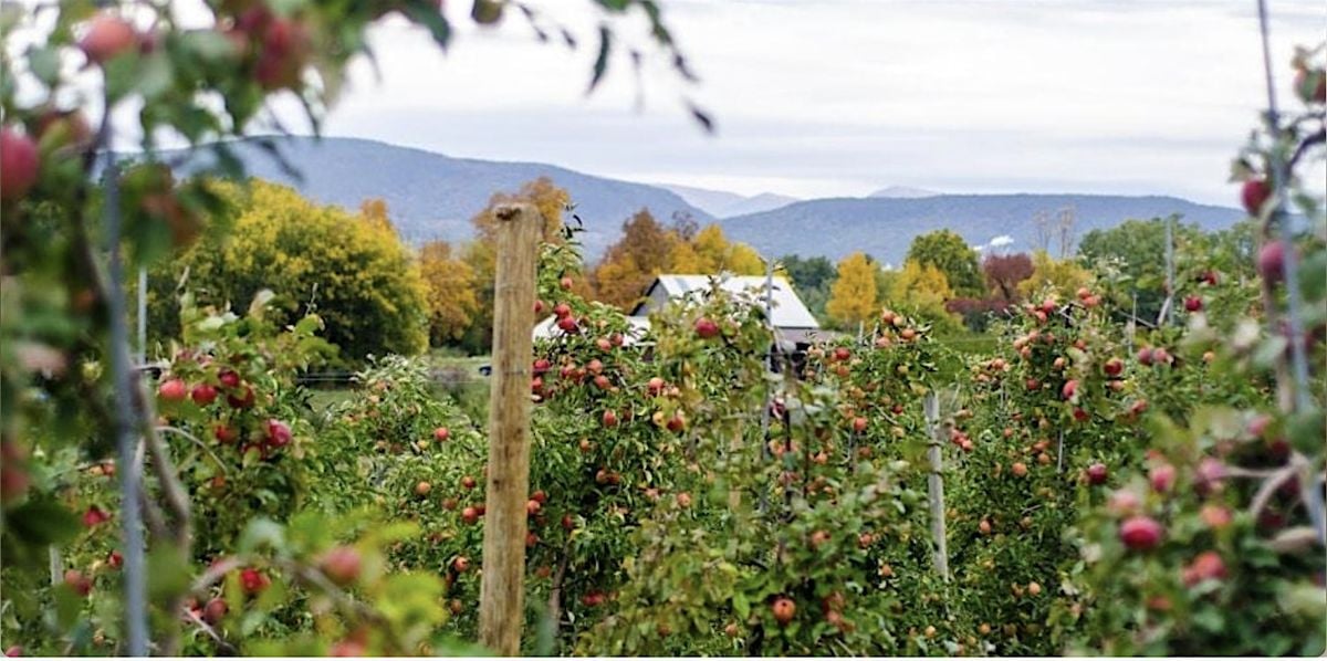 Ivy League Apple Picking and Cider Tasting!, 8 November | Event in Hopewell Junction | AllEvents