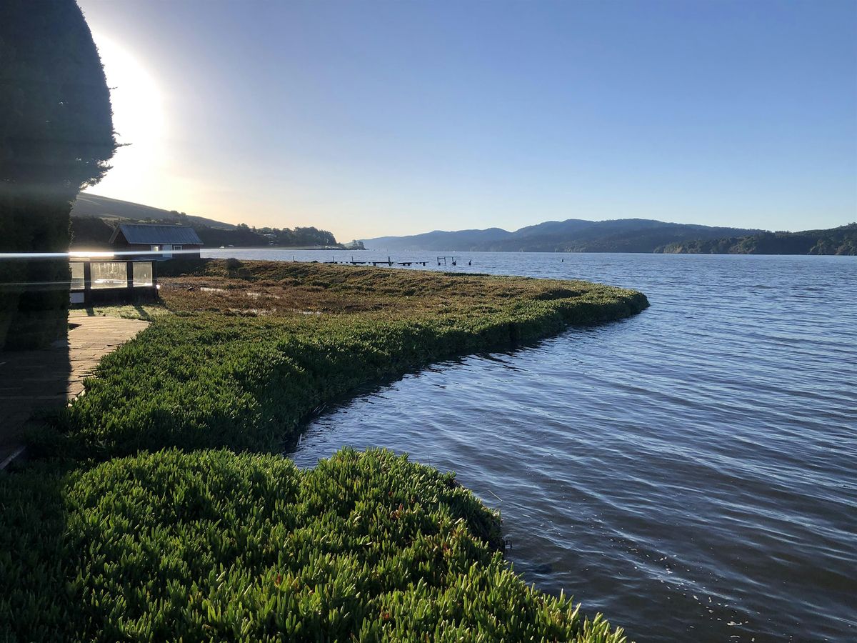 Beach Clean-Up at Cypress Grove Preserve, 12 July | Event in Marshall | AllEvents