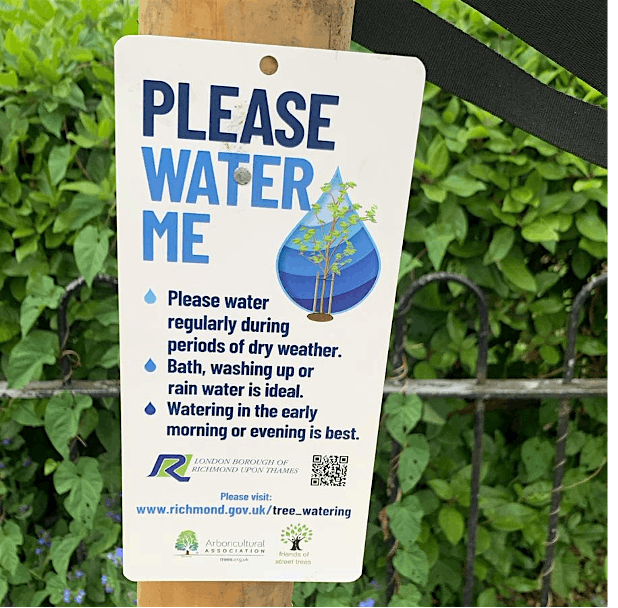 Street Trees in Kew - Call to Action, 21 August | Event in Richmond | AllEvents