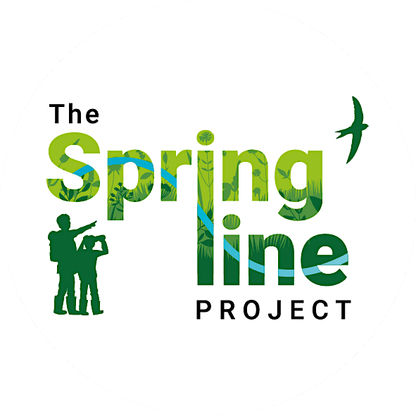 The Springline Project final reveal, 21 November | Event in Cholsey | AllEvents