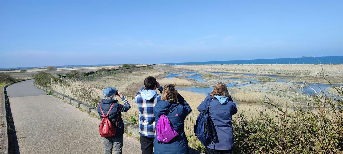 Birdwise East Kent Christmas eve free family friendly guided walk, 24 December | Event in Birchington-on-Sea