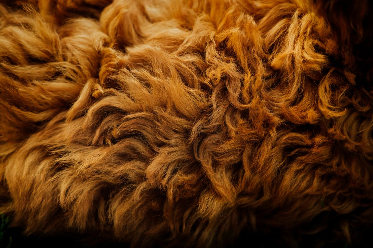 Guided Smelling Workshop: BO, Animalics, and More Funk (In Person), 9 July | Event in Los Angeles | AllEvents
