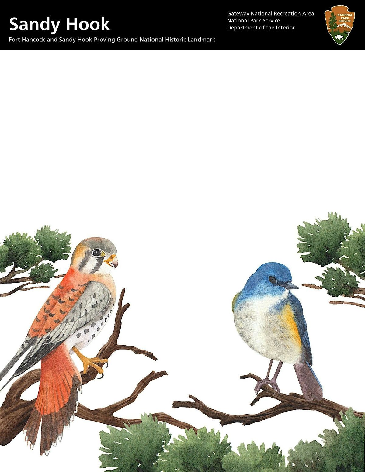 International Migratory Bird Day, 10 May | Event in Middletown Township | AllEvents