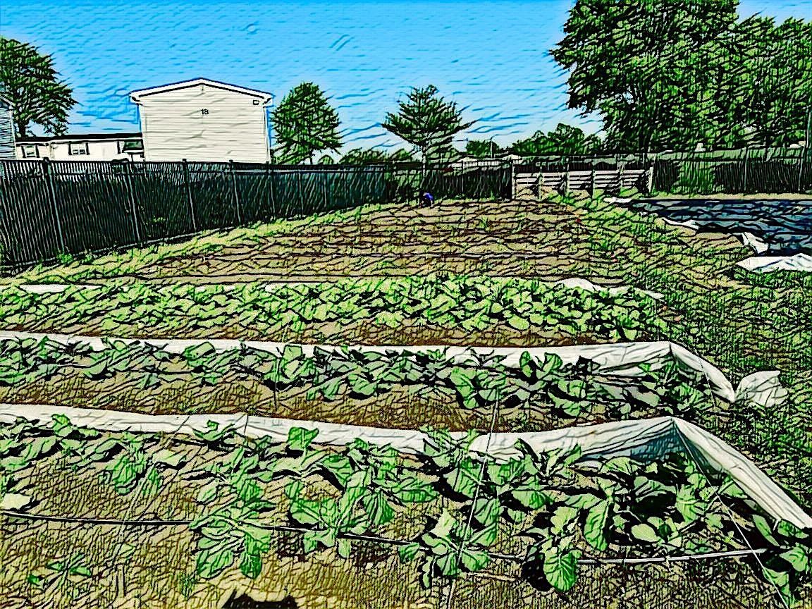 Volunteer Day at Rolling Hills Garden, 20 September | Event in Pottstown | AllEvents