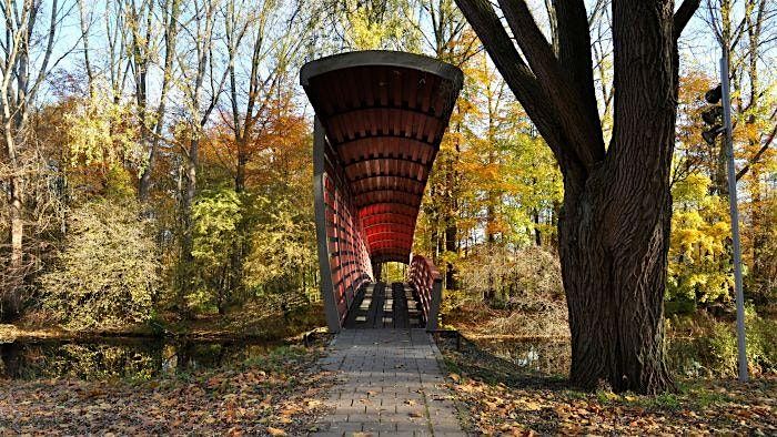 When Men...  Walk & Talk - Dec 2025, 13 December | Event in Amsterdam | AllEvents