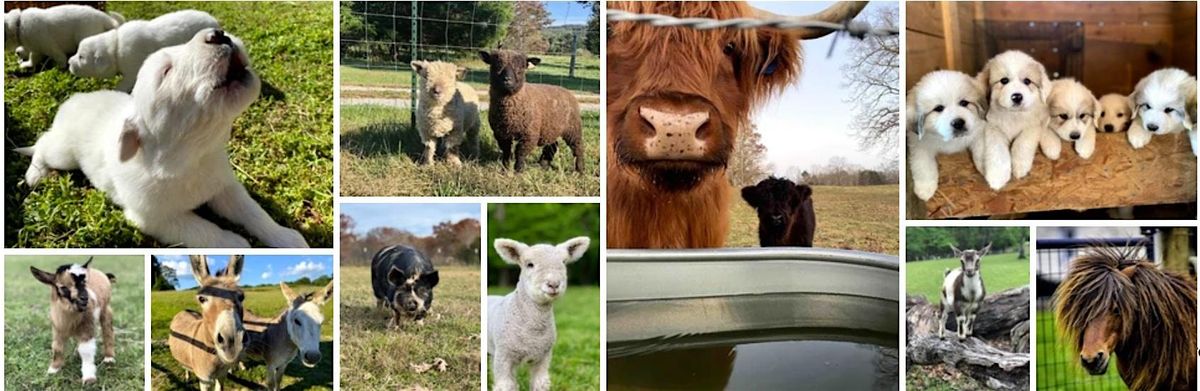 Saturday Farm Tour | Event in Dunlap | AllEvents
