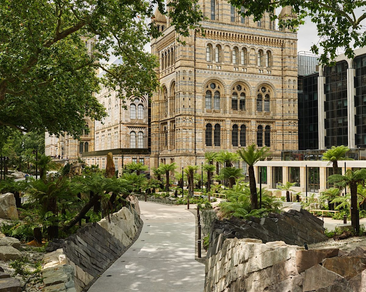 RDI Address 2025, 27 November | Event in London | AllEvents