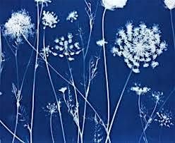 Majestic Monotprint with Cyanotypes, 5 October | Event in Fort Collins | AllEvents