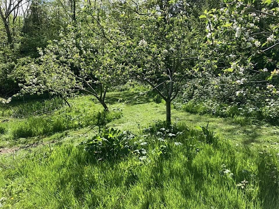 Orchard Maintenance Course, 7 June | Event in Haverfordwest | AllEvents