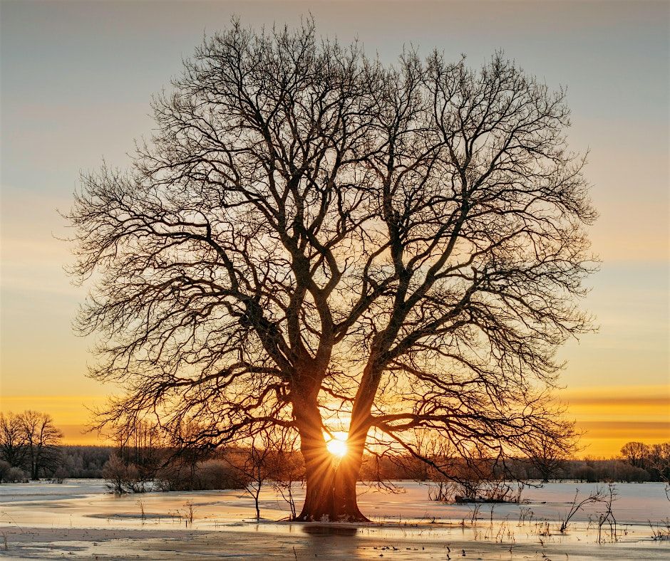 A Pocket of Soft, Slow, Still | A Day Yoga Retreat, 7 December | Event in Hatfield | AllEvents