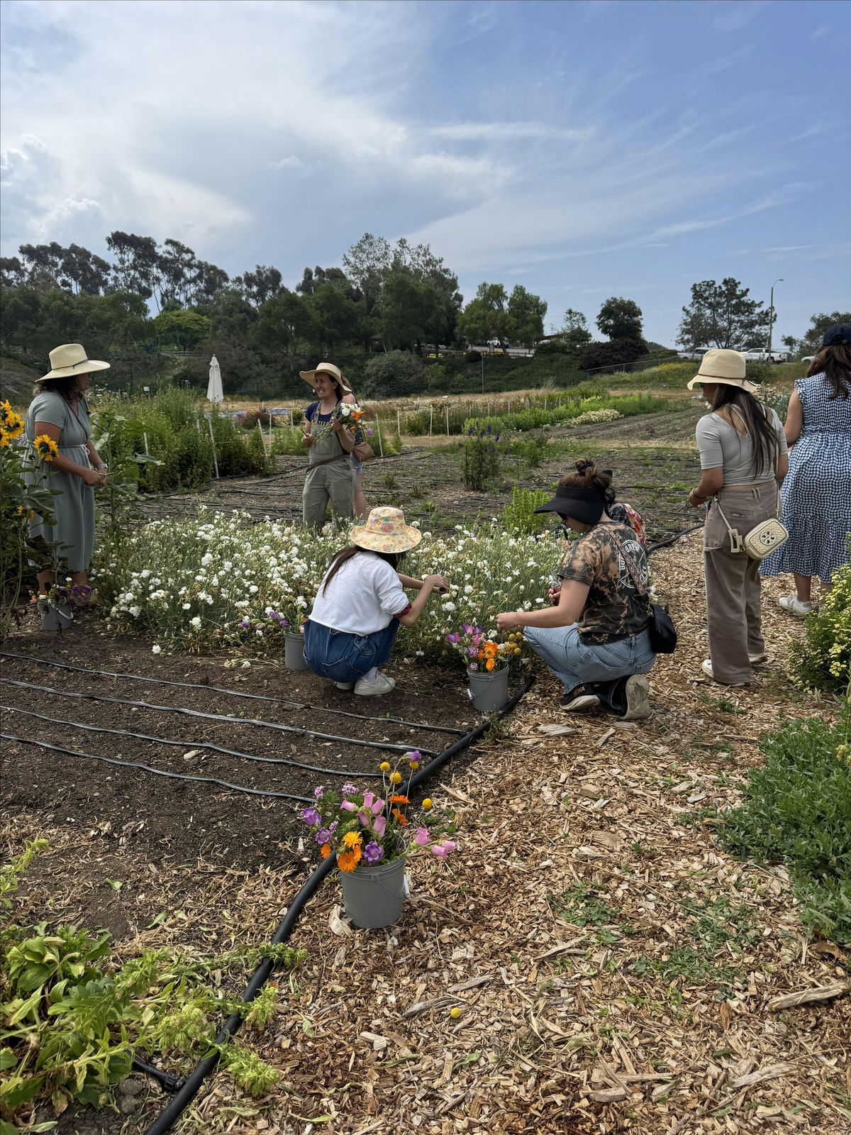 Floral Affair: Tea, Tour and Flower Gleaning on the Farm, 24 August | Event in Encinitas | AllEvents