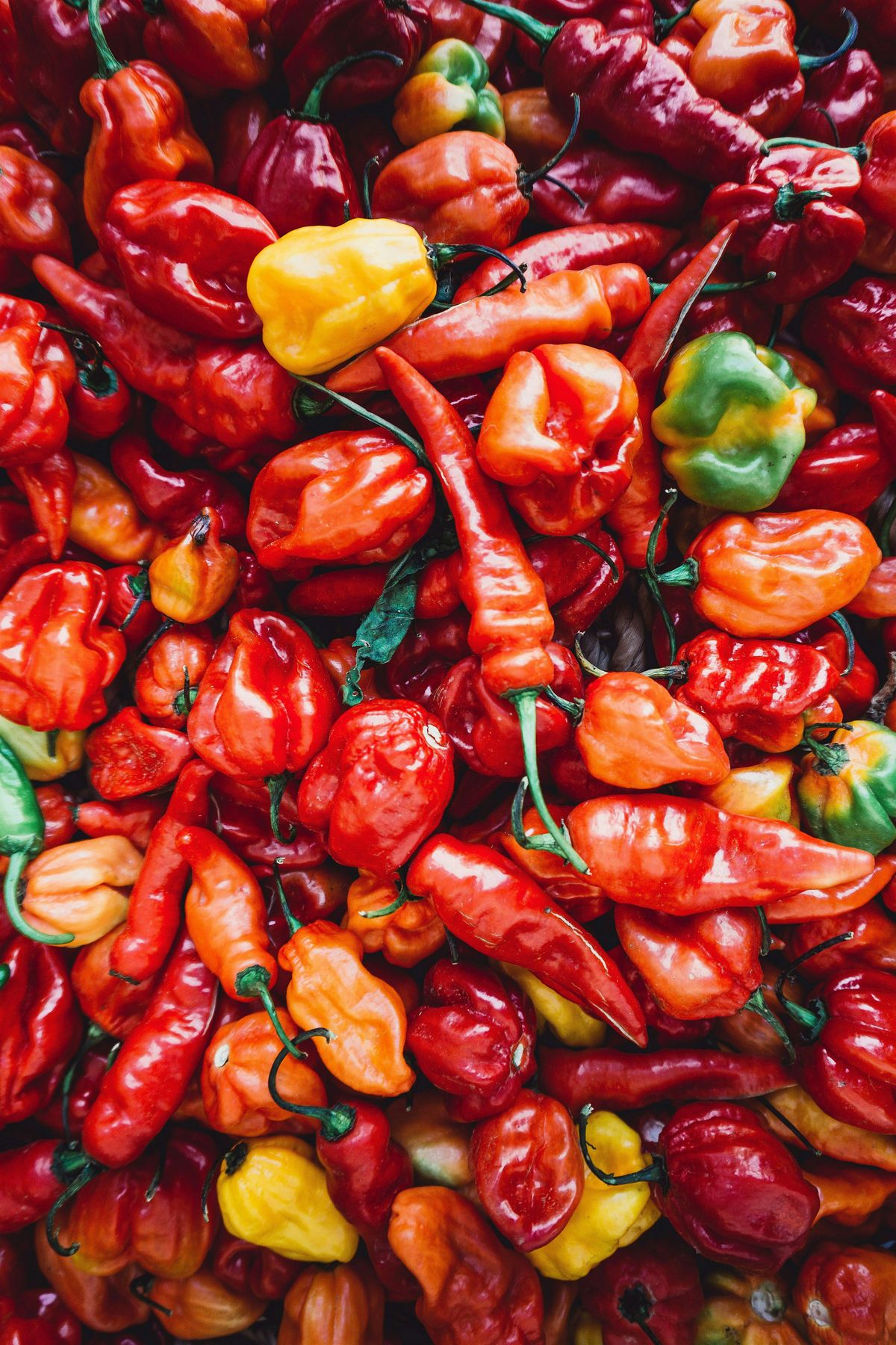 Pepper School, 10 September | Event in Pittsburgh | AllEvents