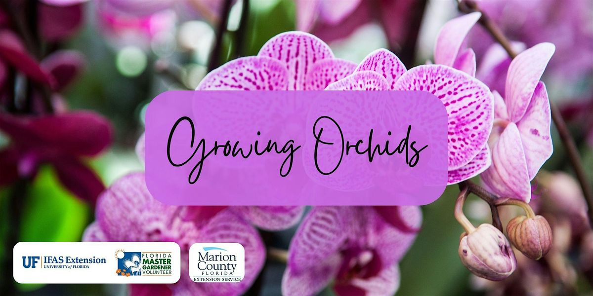 Growing Orchids | Event in Ocala | AllEvents