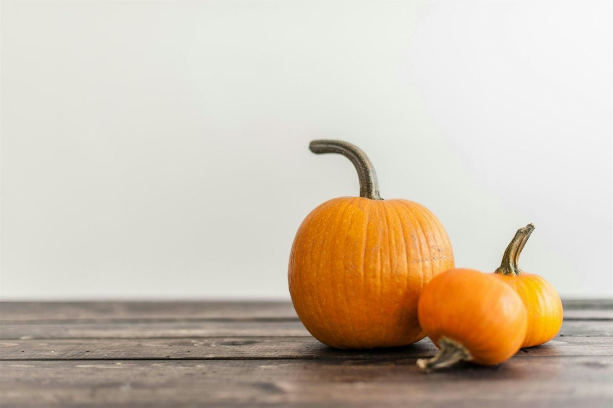 St. Mark's UMC Fall Family Fun Time, 18 October | Event in Manassas | AllEvents