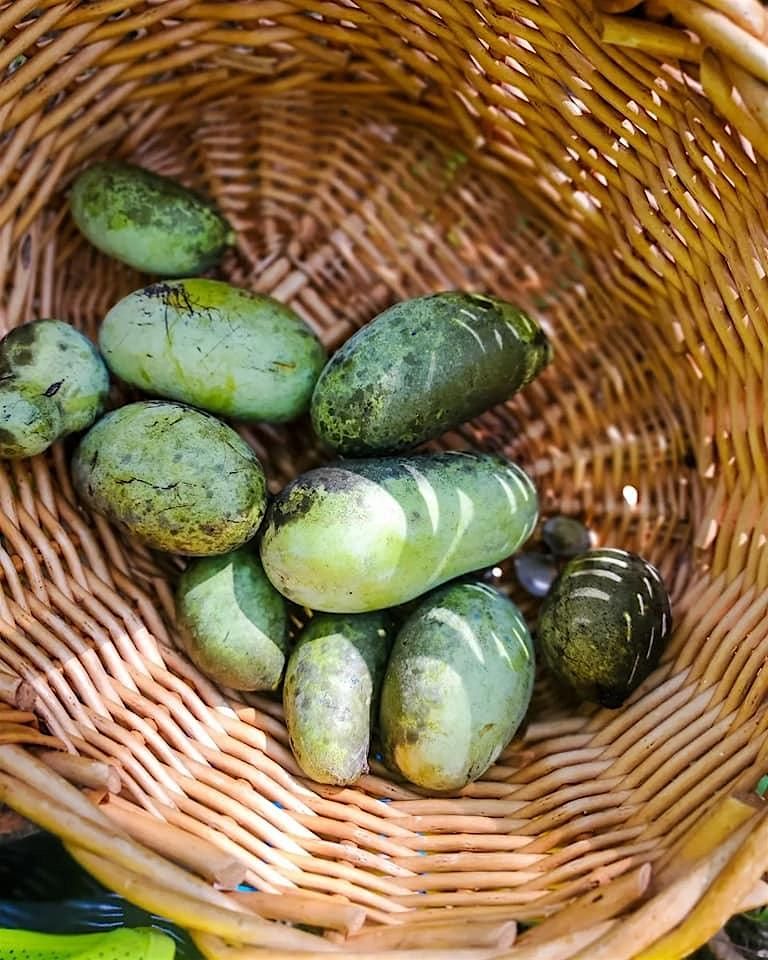 Fall 2025 Paw Paw Forage (Week 2 Sunday), 14 September | Event in Oxford | AllEvents