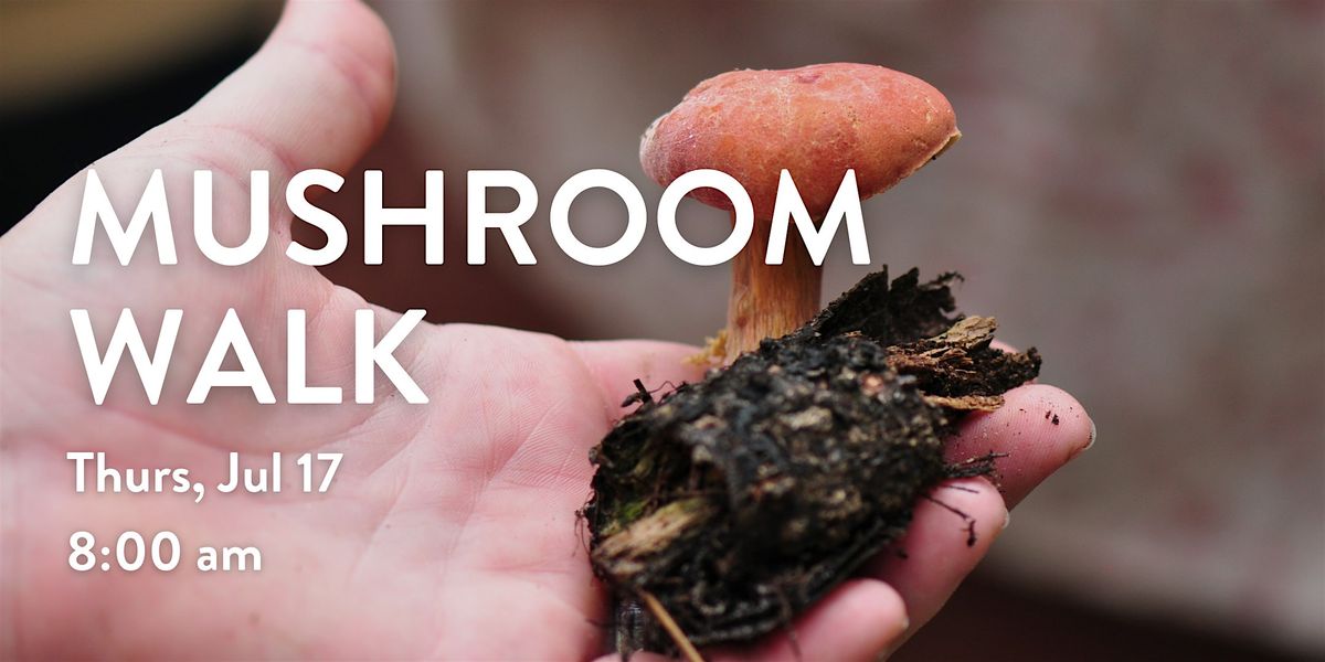 Mushroom Walk, 17 July | Event in Venice | AllEvents