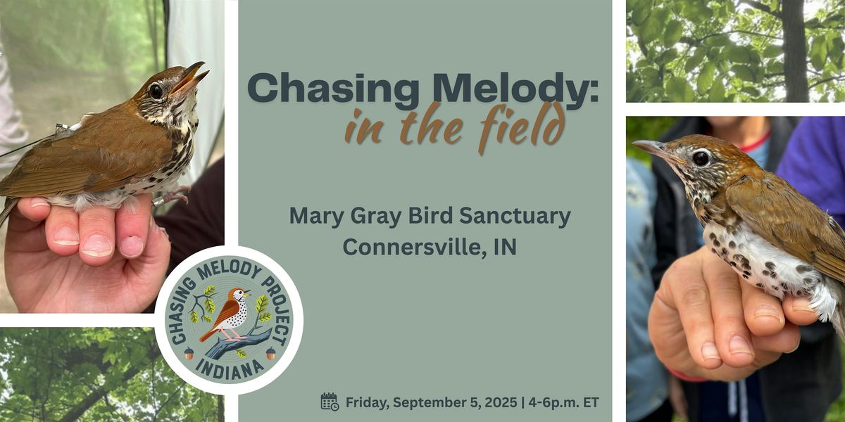 Chasing Melody: In the Field II, 5 September | Event in Connersville | AllEvents