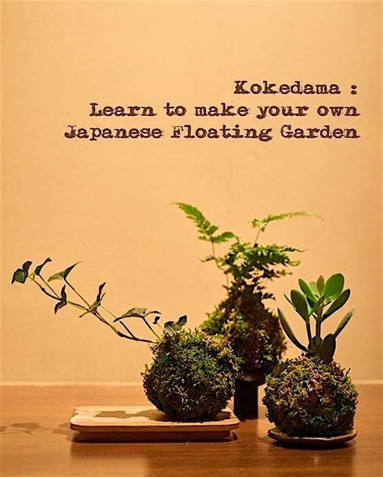 Kokedama : Learn to make your own Japanese Floating Garden, 7 July | Event in New York | AllEvents