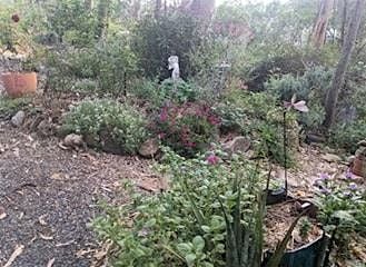 Open garden with Kerryn Valeontis  - 'A Poets Garden' in Glenorie (NSW), 29 November | Event in Galston | AllEvents