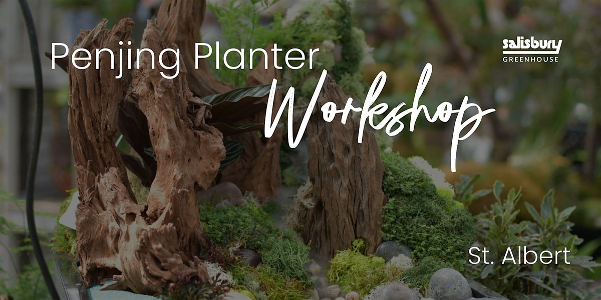 DIY Penjing Planter | Workshop | St. Albert, 18 October | Event in St. Albert | AllEvents