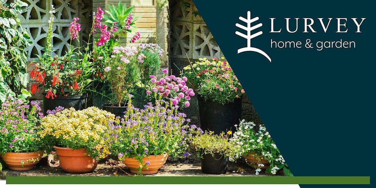 Refresh Your Summer Seasonal Container Demonstration, 16 August | Event in Des Plaines | AllEvents