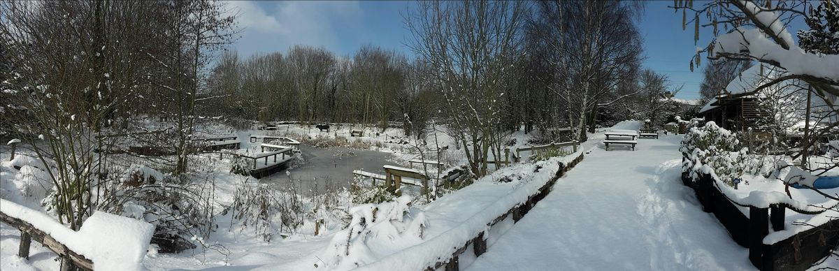 Winter Activity Trail at Tyland Barn, 1 December | Event in Maidstone | AllEvents
