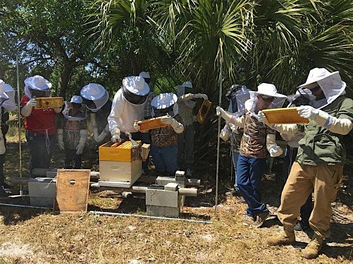 Intro to Beekeeping | Become a Beekeeper 5-wk Hands-On Workshop, 7 August | Event in Cape Coral | AllEvents