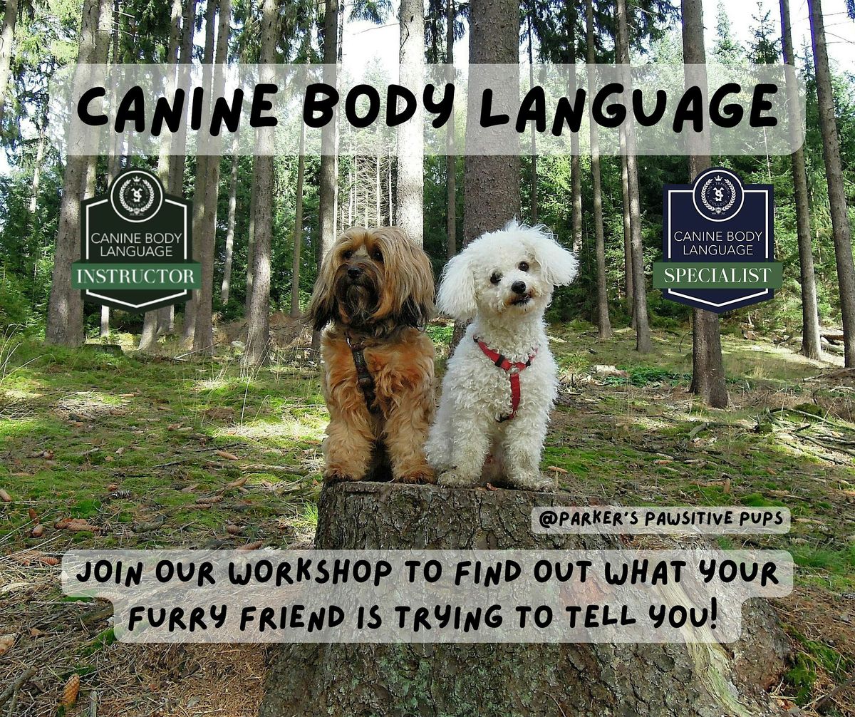 Canine Body Language Workshop, 21 June | Event in Bristol | AllEvents