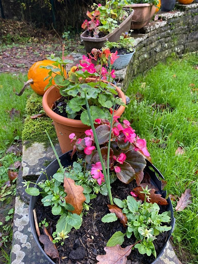 A Froebelian approach to gardening through the seasons, 13 November | Event in Newcastle | AllEvents
