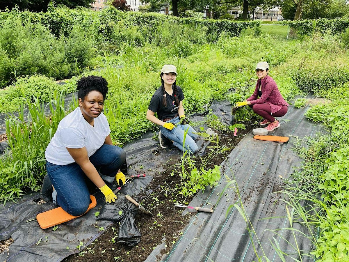 Saturday Volunteer & Learning Day on the Souper Farm 5/3, 3 May | Event in Atlanta | AllEvents