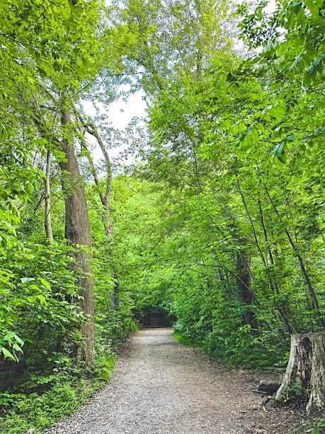 Weekly Nature Therapy Drop-In | Event in Montréal | AllEvents