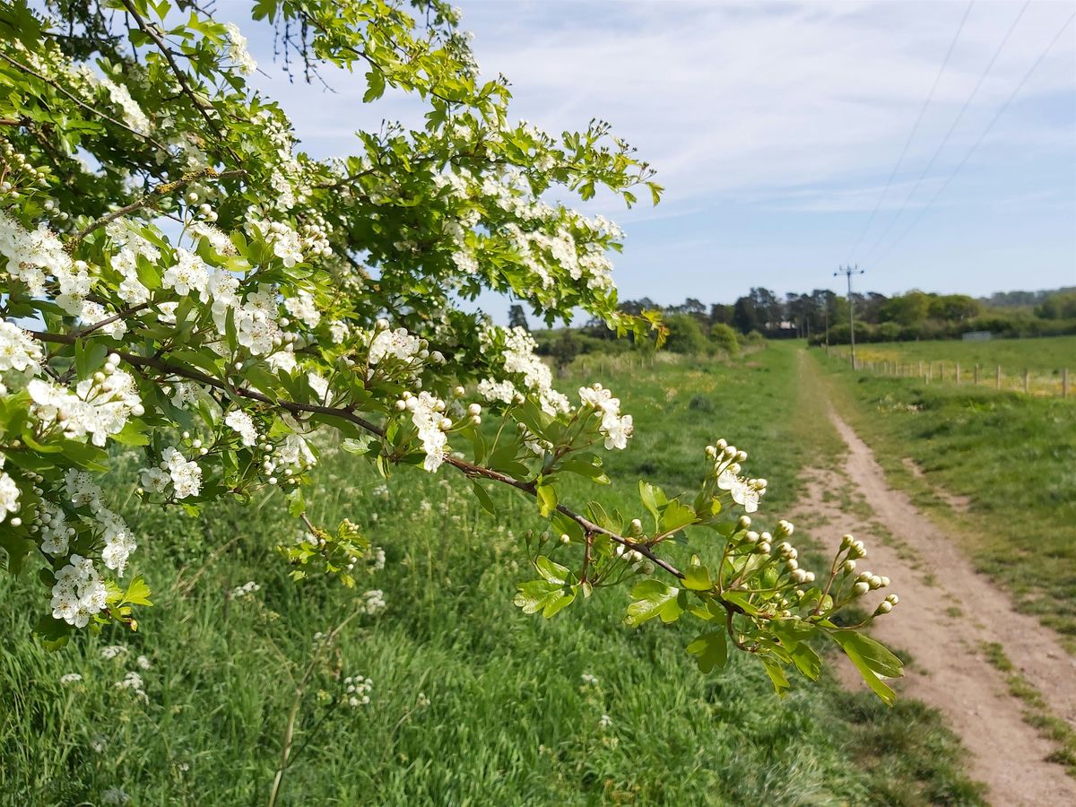 Volunteer Work Party - Bartonsham Meadows, 7 October | Event in Hereford | AllEvents