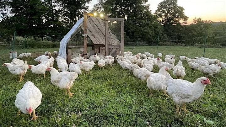Poultry Processing Day, 18 June | Event in Concord | AllEvents