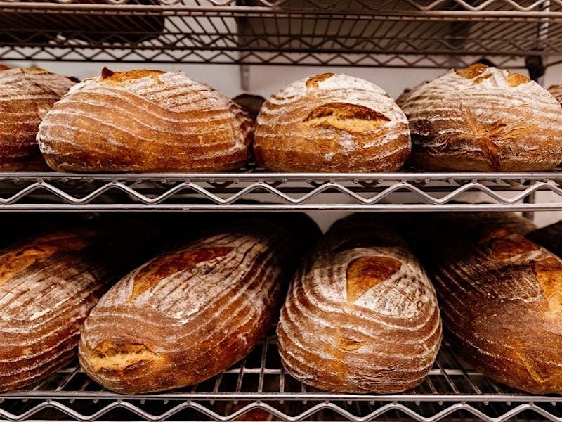 Sourdough Basics, 25 October | Event in Austin | AllEvents