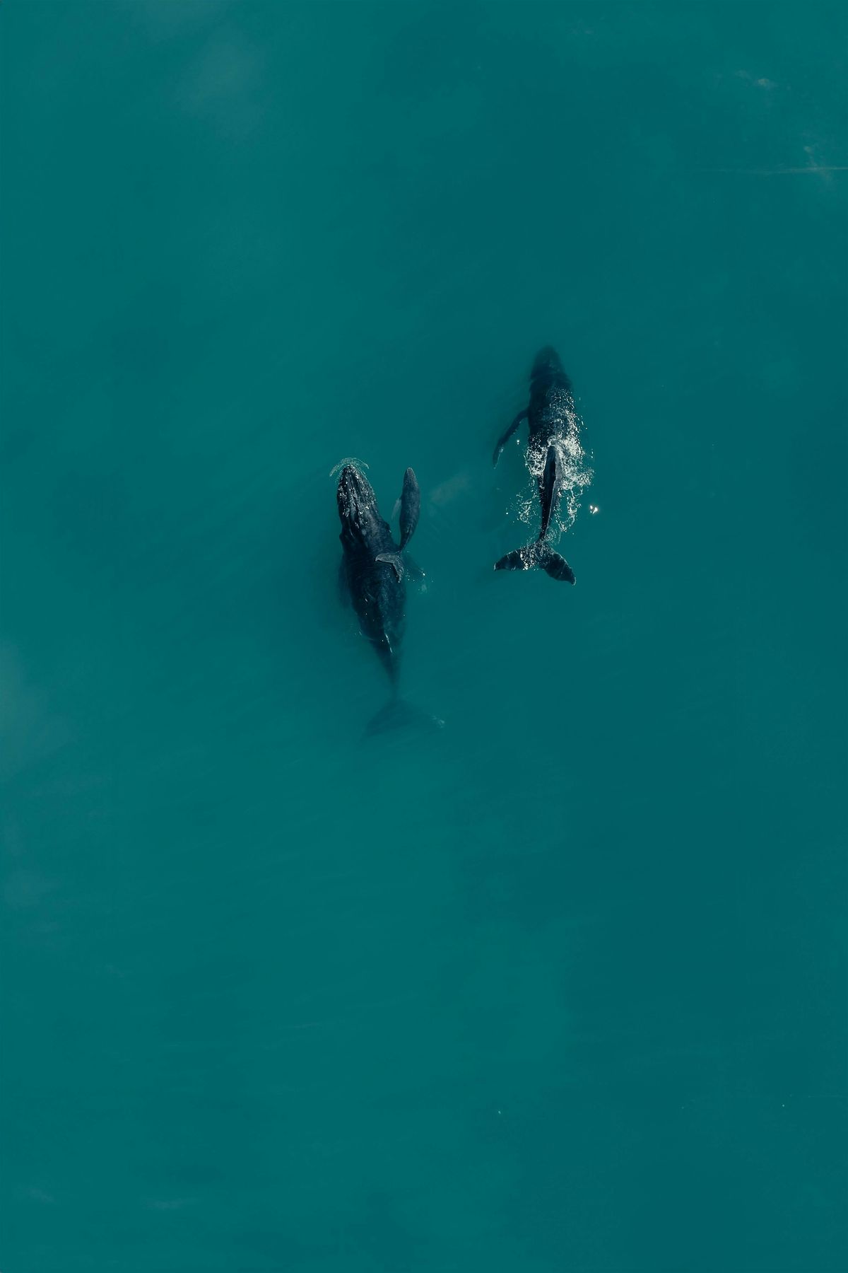 Ocean Hackathon® Congo 2025, 17 October | Event in Pointe-Noire | AllEvents