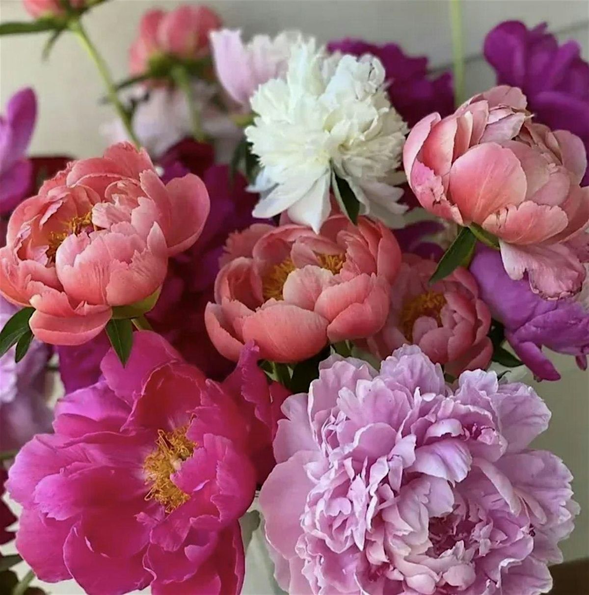 Peony Perfect Floral Design Workshop, 2 July | Event in Charleston | AllEvents