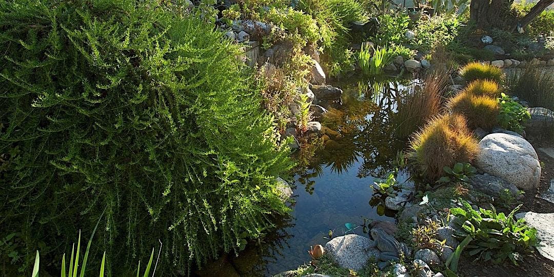 Saturday in the Garden: Gottlieb Native Garden, 6 September | Event in Beverly Hills | AllEvents