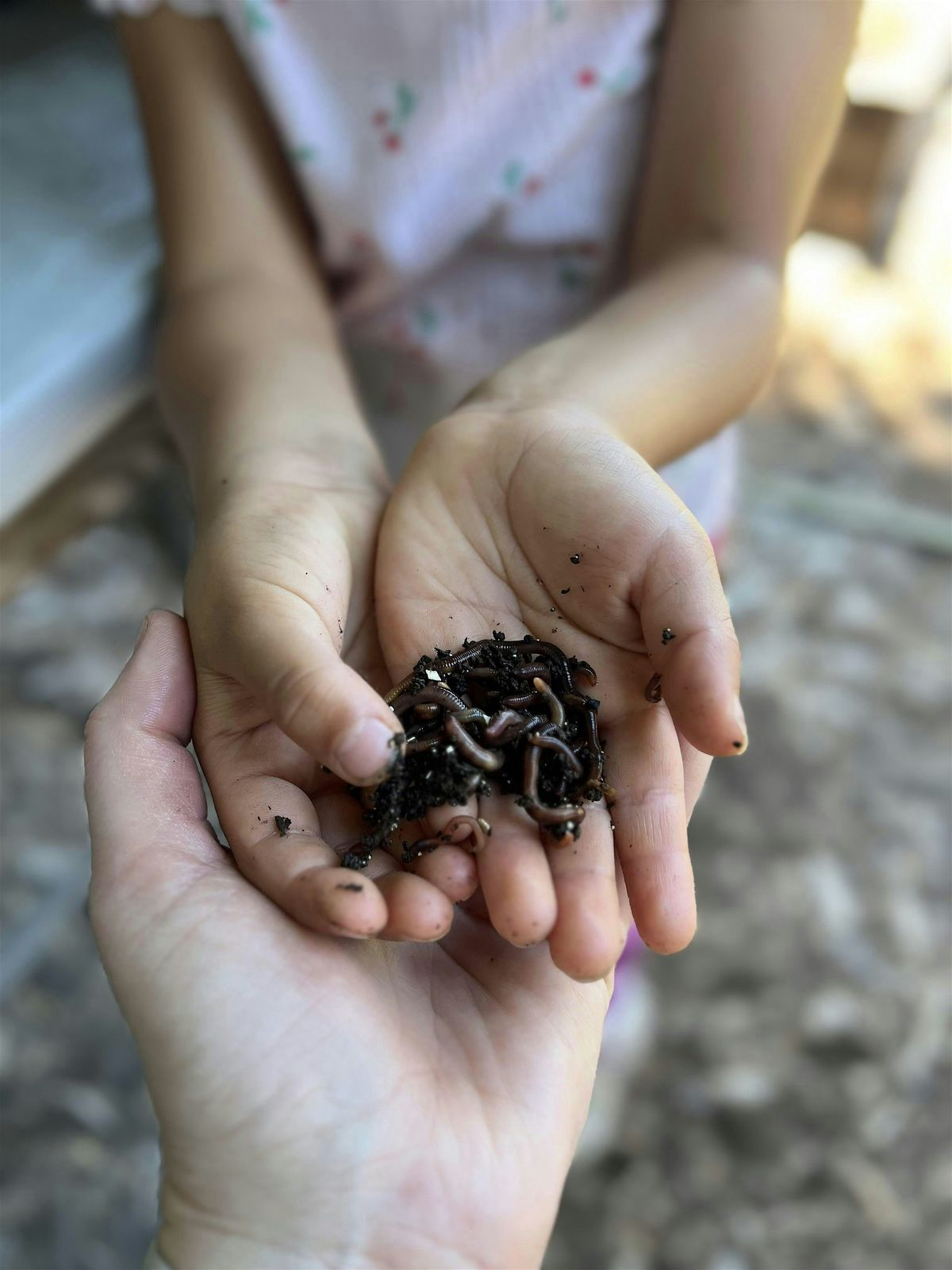 Worms, Waste & Wonder, 6 August | Event in San Jose | AllEvents