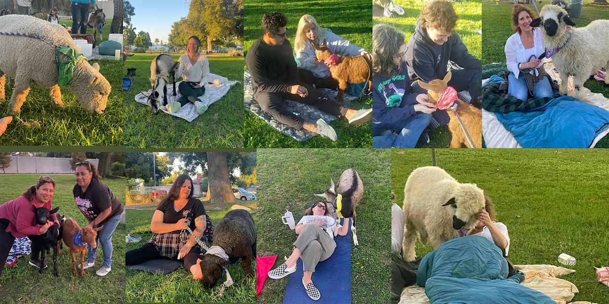 Mother' s Day Goats  and Sheep Snuggle Party + Sound Bath, 11 May | Event in Burbank | AllEvents