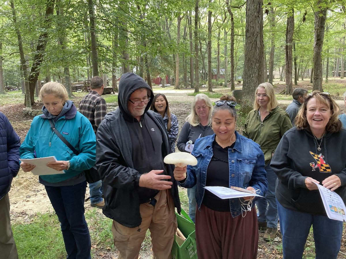 Mushroom 101 and Foraging Class, 2 August | Event in Berlin | AllEvents