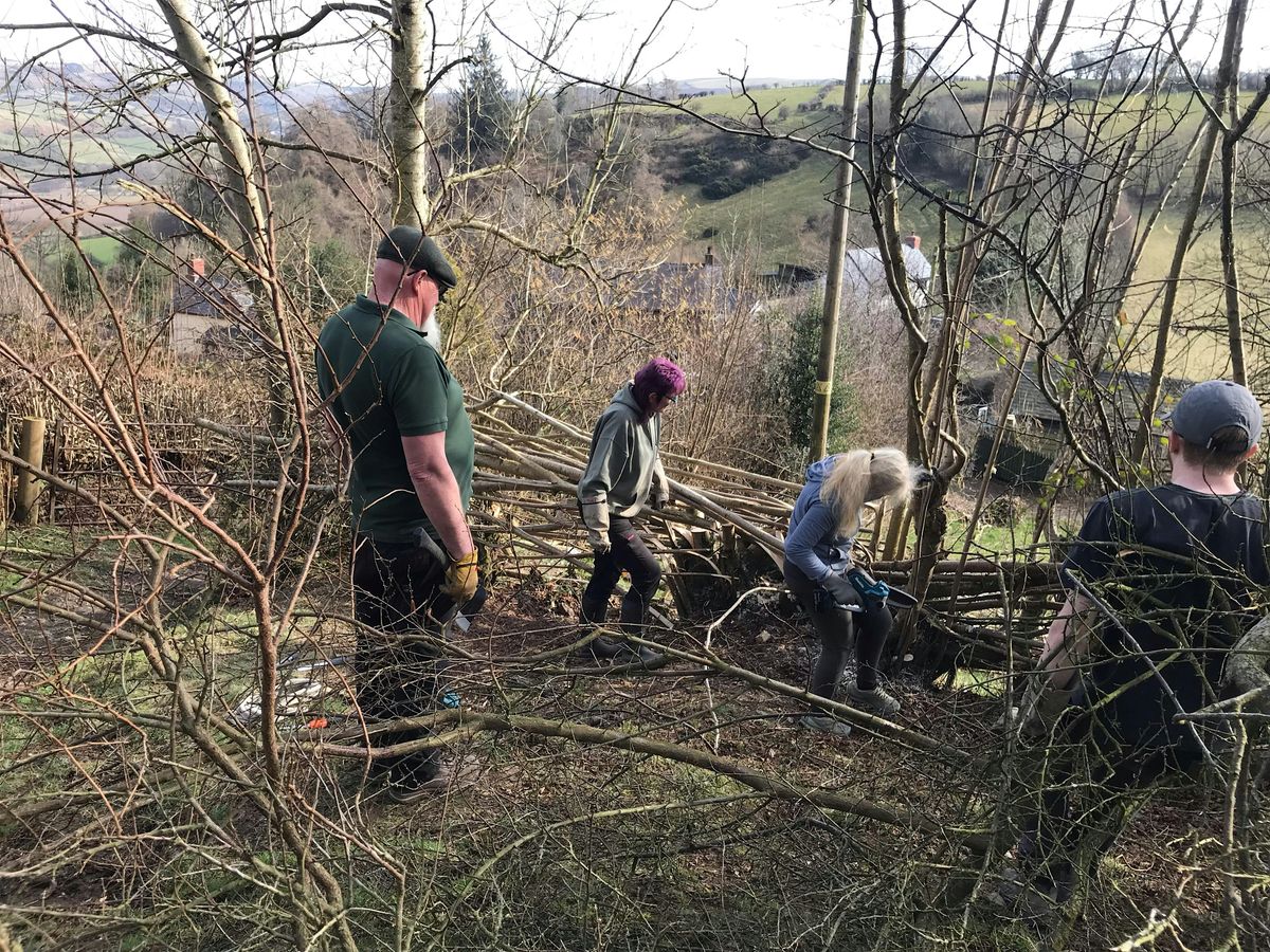 Hedge-laying and Coppicing Course, LLoyney, near Knighton, Powys, 13 December | Event in Knighton | AllEvents