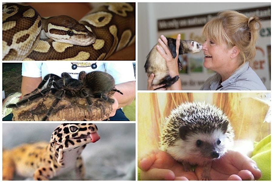 Learning for Life "Creature Feature", 13 October | Event in Doncaster | AllEvents
