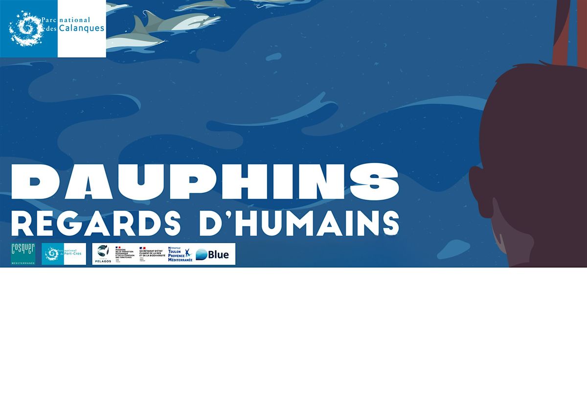 « Dauphins : regards d’Humains » : film à Cosquer Méditerranée., 30 October | Event in Marseille | AllEvents
