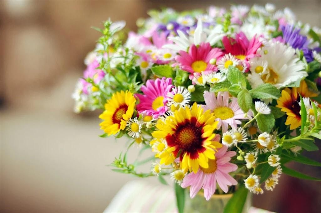 Picture Perfect Mother's Day, 4 May | Event in Waterford | AllEvents