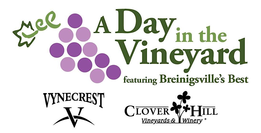 Day in the Vineyard, 7 June | Event in Breinigsville | AllEvents