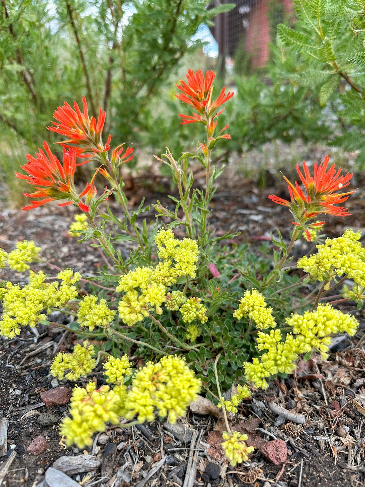 Fall Social and Seed  Swap, 1 October | Event in Bend | AllEvents