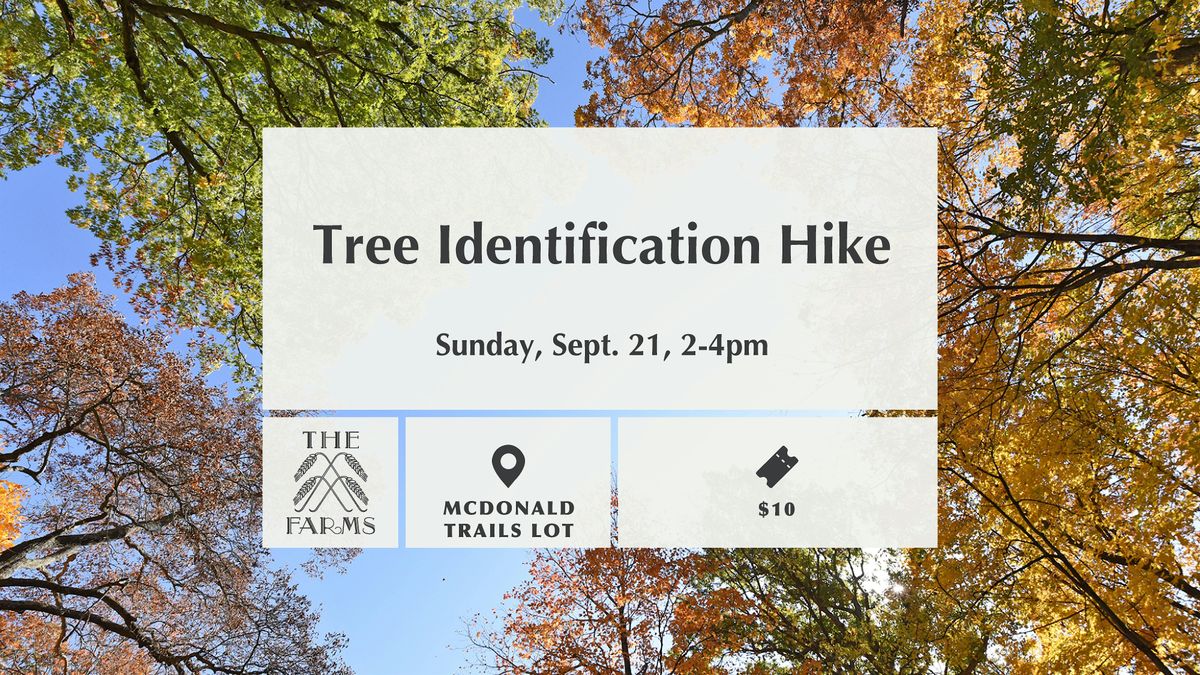 Tree Identification Hike, 21 September | Event in Monticello | AllEvents