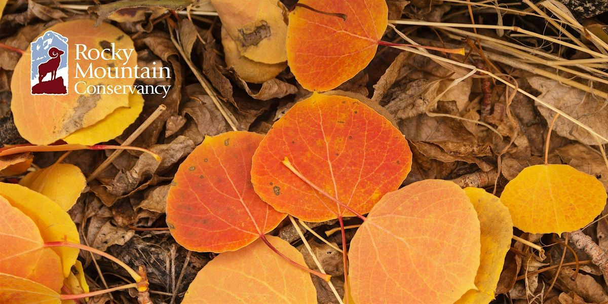 Fall Color Photography in Rocky Mountain National Park, 24 September | Event in Estes Park | AllEvents