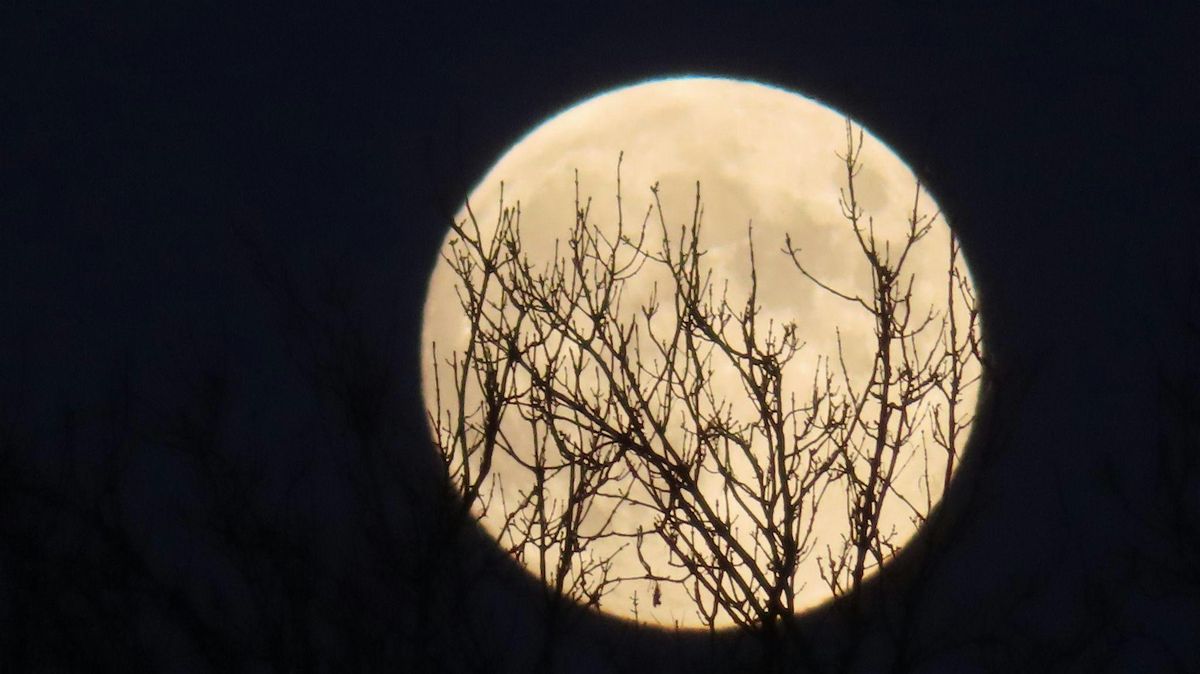 Guided Full Moon Meditation - The Cold Moon!, 4 December | Event in Acampo | AllEvents